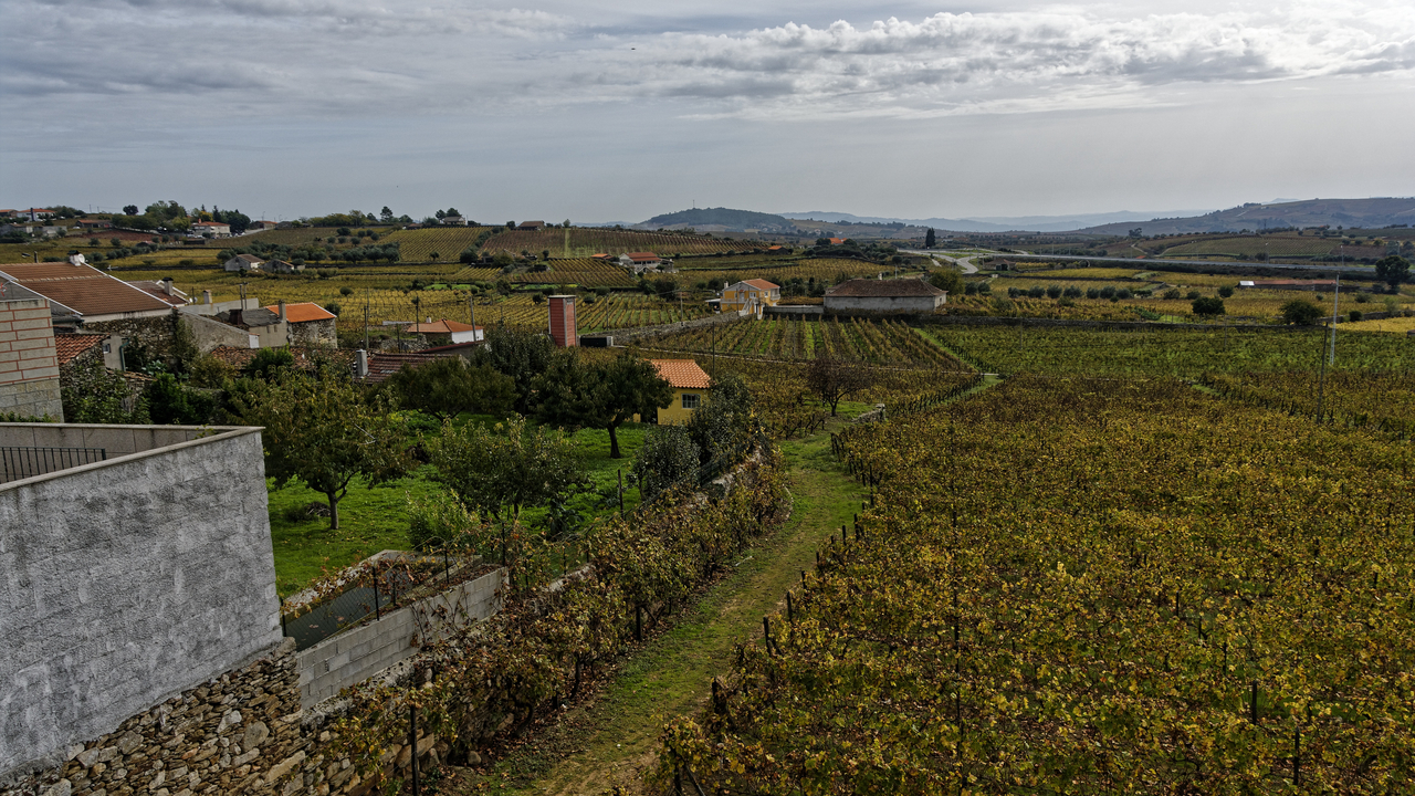 20141024 121918•Favaios•North•Portugal